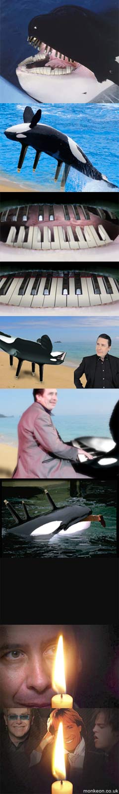It's evolved to live off pianists