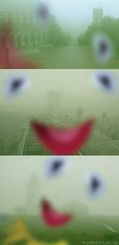 Kermit The Fog
