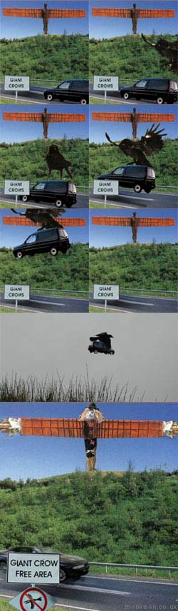 Giant Crow Problem