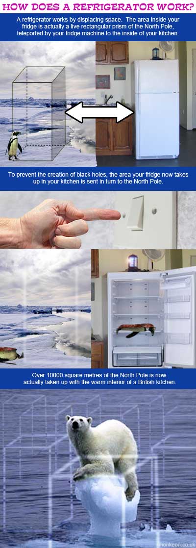 How Does A Fridge Work?