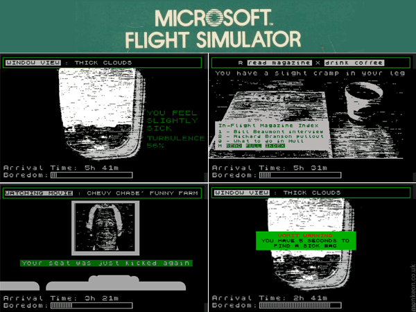 Flight Simulator : Passenger Edition