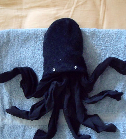 Soctopus