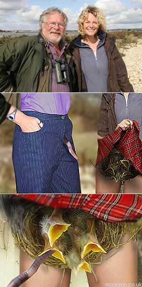 Springcrotch