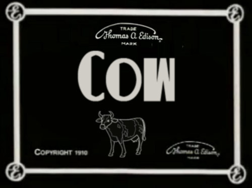 cow
