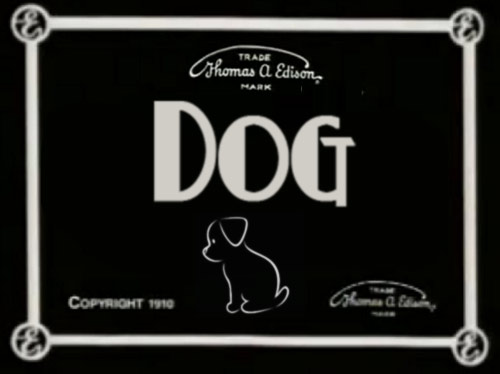 dogs