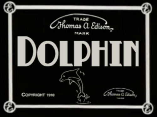 dolphin