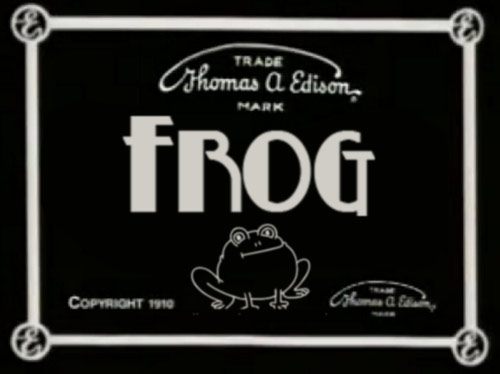 frog