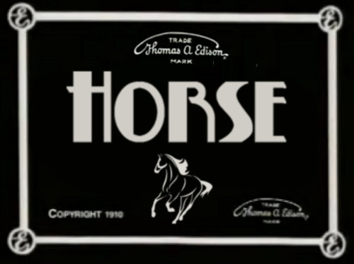 horse