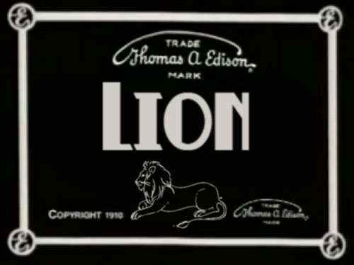 lion