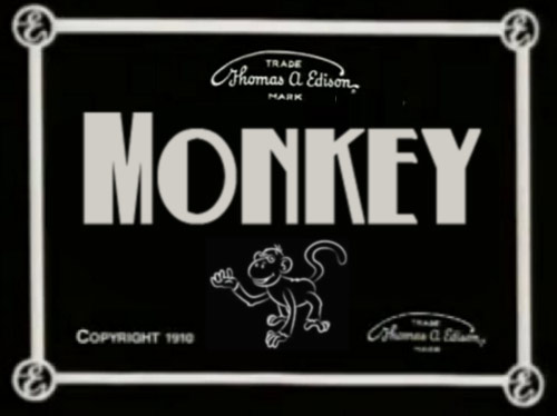 monkeys