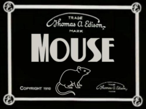 mouse