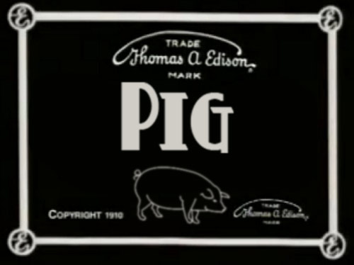 pig